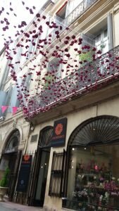 Octobre rose, photo