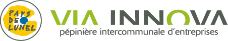 VIA INNOVA, logo