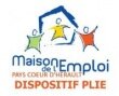Maison de l 'emploi pays coeur d'hérault